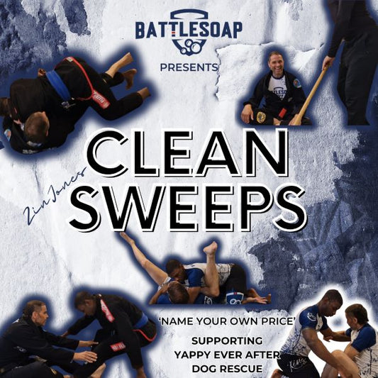 Name Your Price 'Clean Sweeps' - Charity Instructional